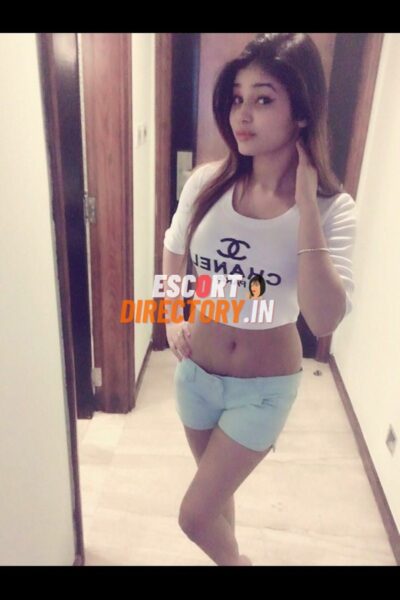 Anaswara Ludhiana Escort Service